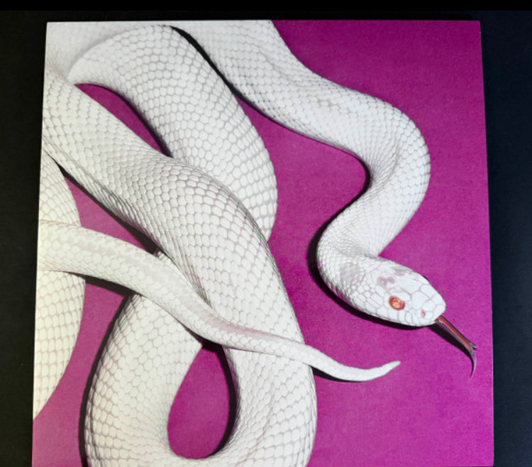 Deftones - Private Music ALT COVER & FOG GREY VINYL