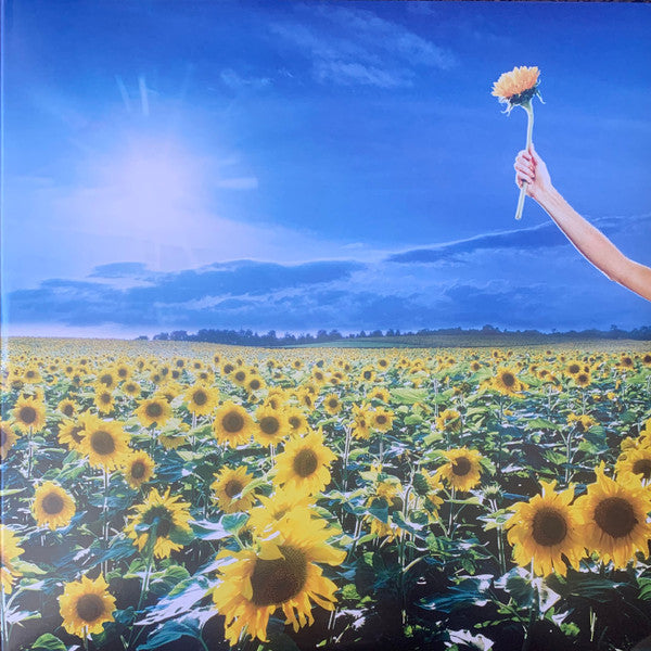Stone temple pilots- thank you