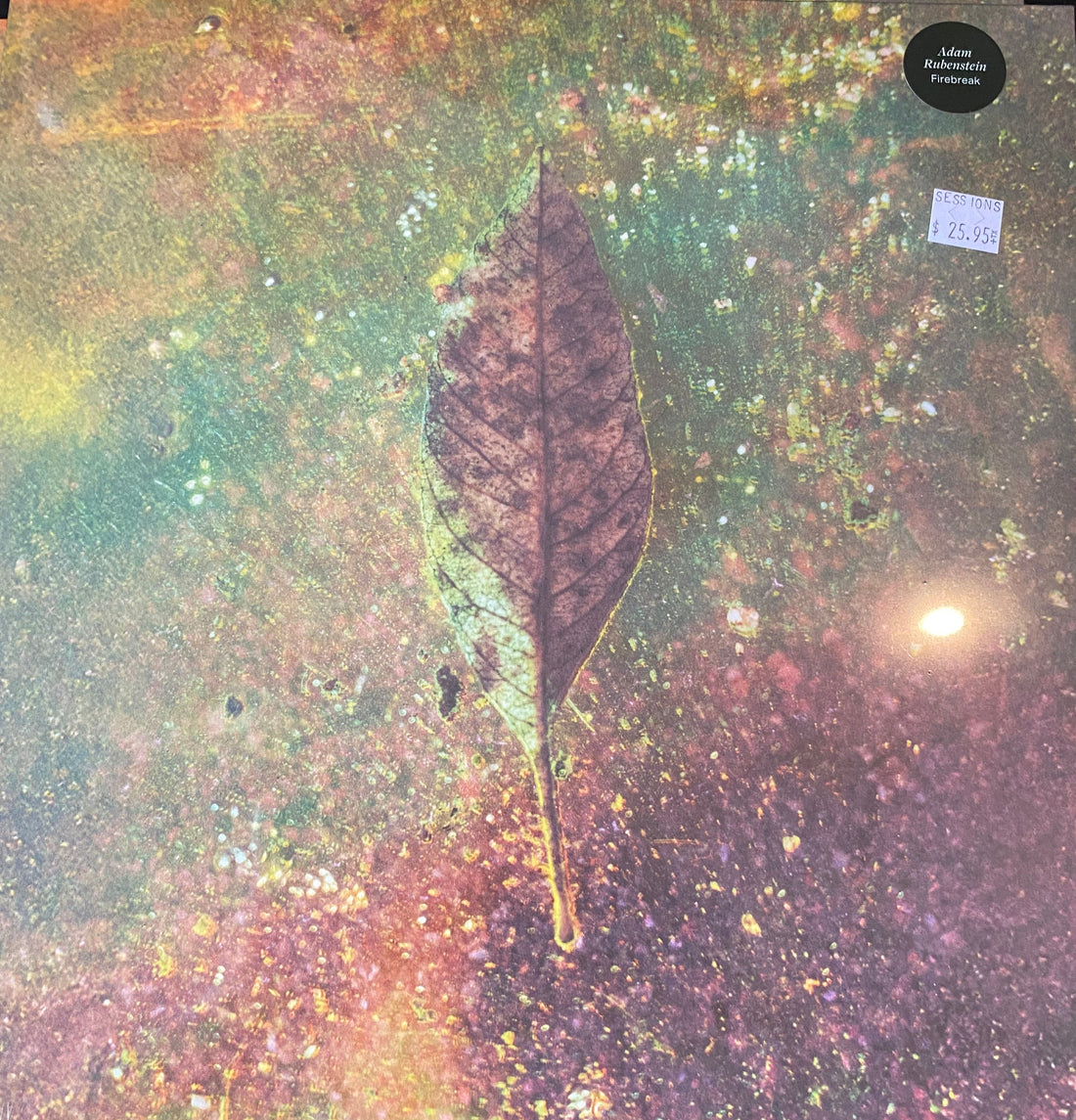 Adam Rubenstein - Firebreak