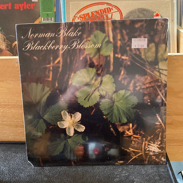 Norman Blake - Blackberry Blossom