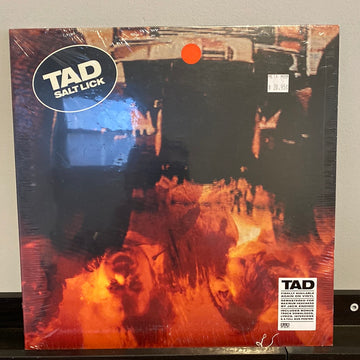 TAD- Salt Lick