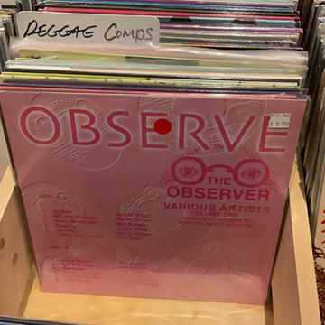 Observe The Observer
