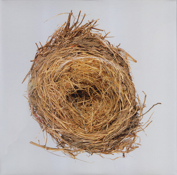 Wilco - a ghost is born used vinyl