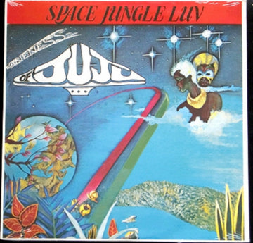 Oneness Of Juju - Space Jungle Luv