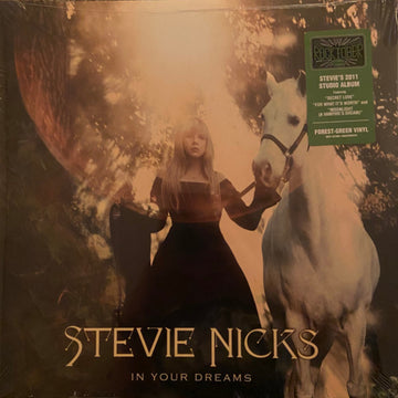 Stevie Nicks - In Your Dreams