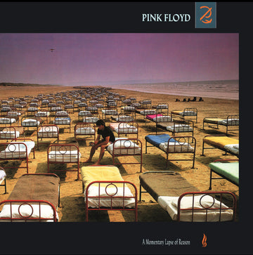 Pink Floyd- A Momentary Lapse Of Reason