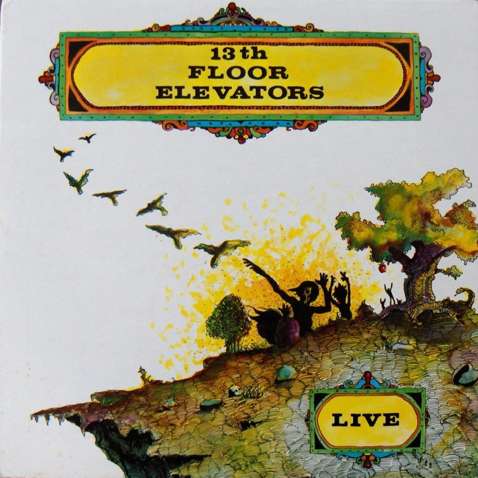 13th Floor Elevators- Live