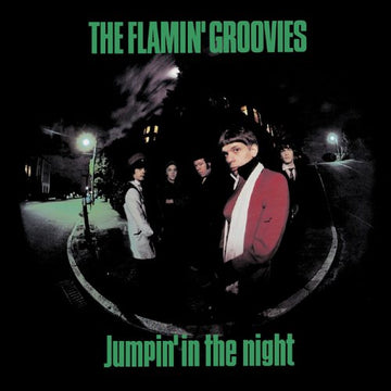Flamin' Groovies- Jumpin' in the Night