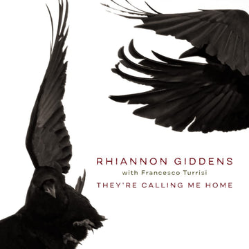 Rhiannon Giddens- They're Calling Me Home