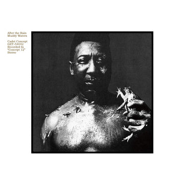 Muddy Waters- After the Rain