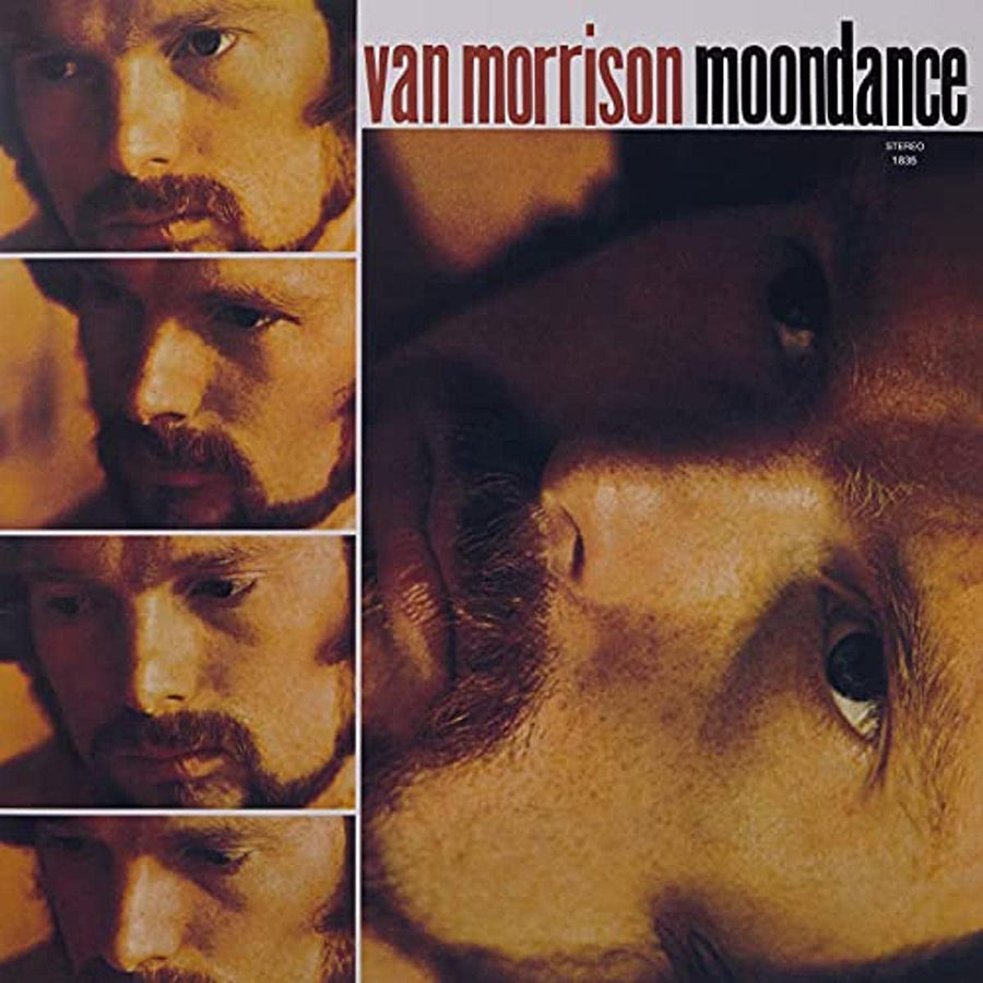 Van Morrison- Moondance