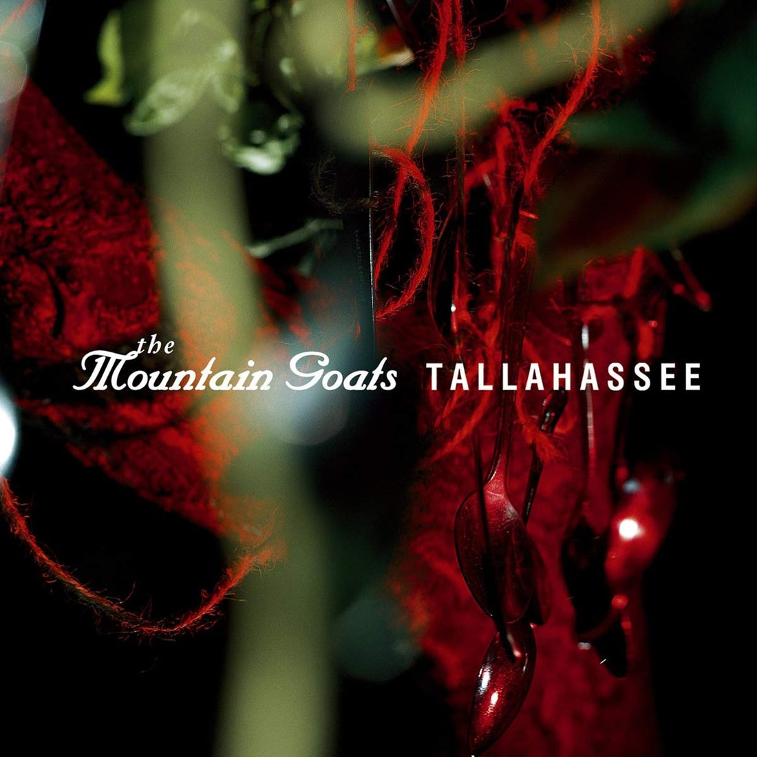 Mountain Goats- Tallahassee