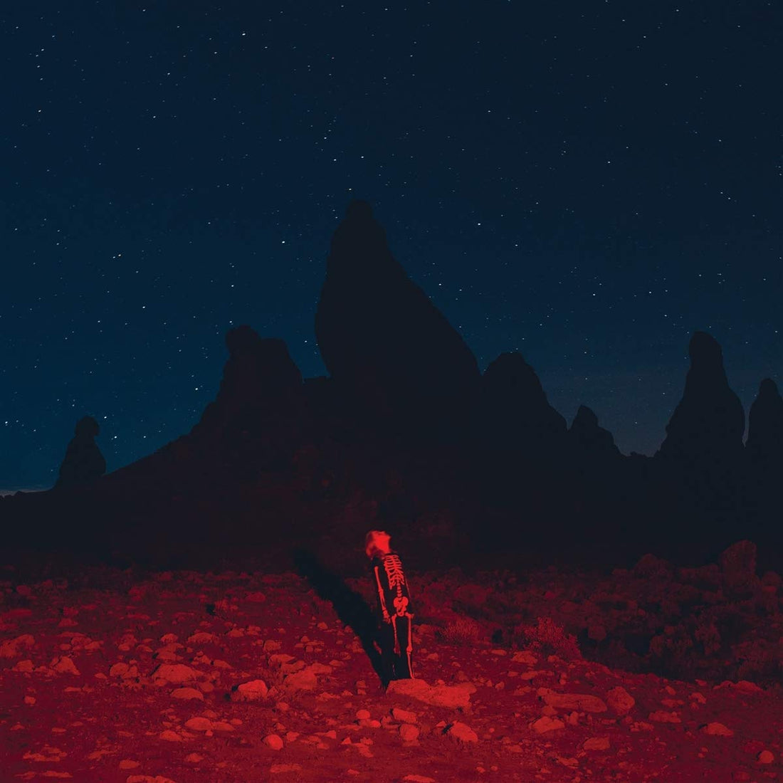 Phoebe Bridgers- Punisher