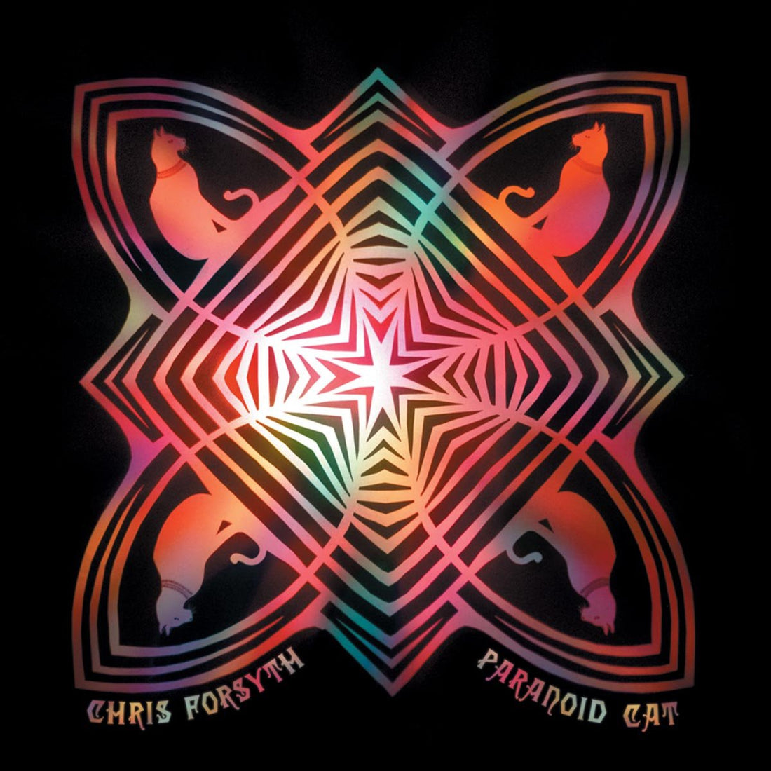 Chris Forsyth- Paranoid Cat