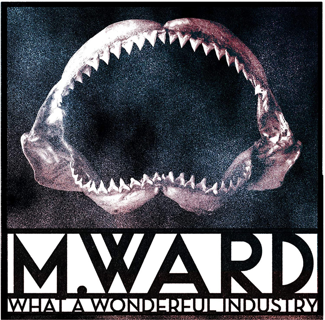 M. Ward- Wonderful Industry