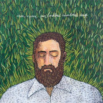 Iron & Wine- Our Endless Numbered Days