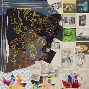 Animal Collective- Time Skiffs
