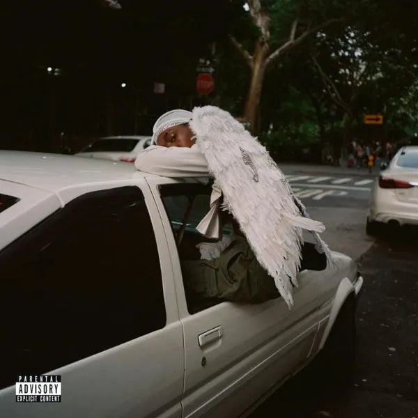 Blood Orange- Negro Swan