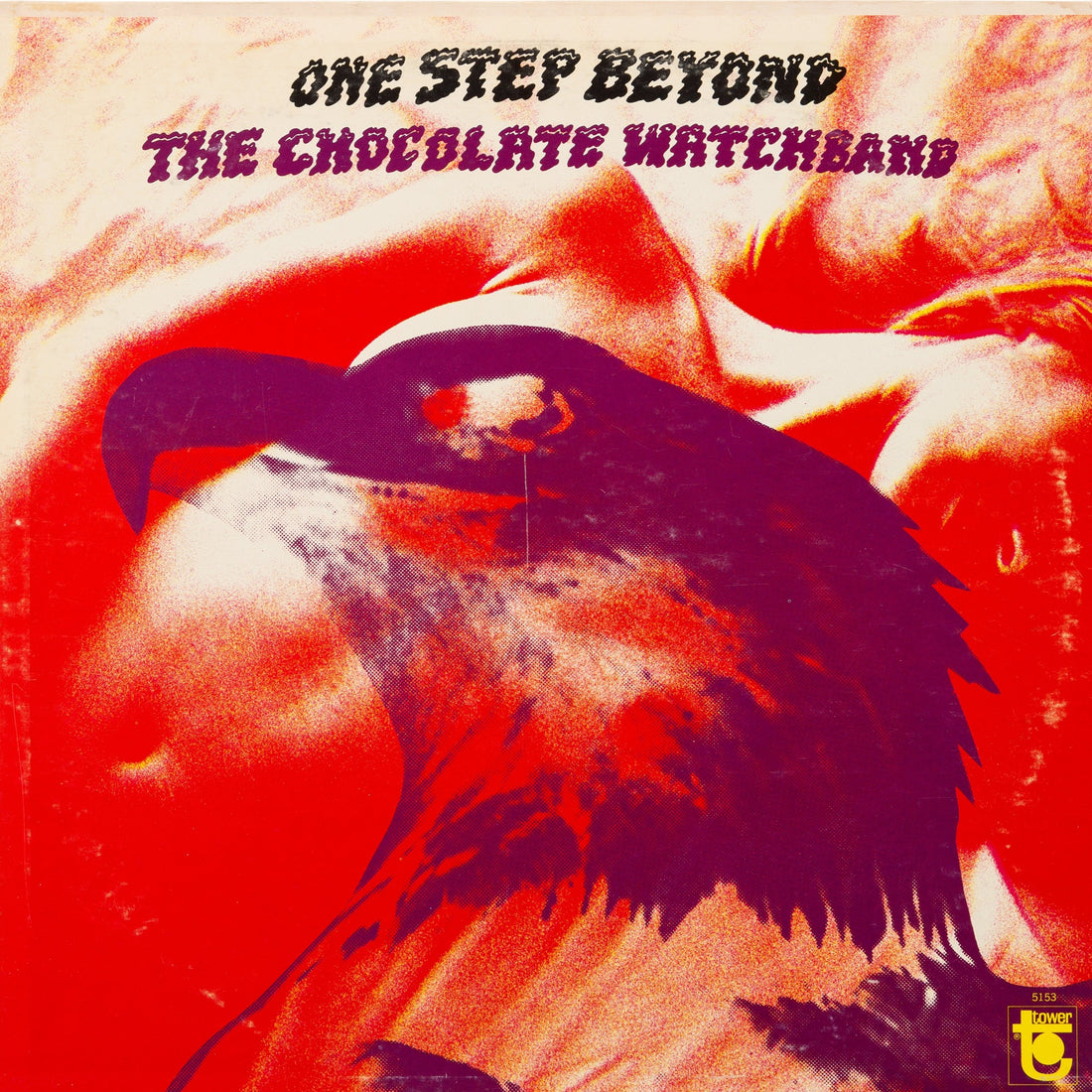 Chocolate Watch Band- One Step Beyond